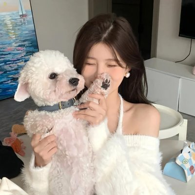 阳光普照2019